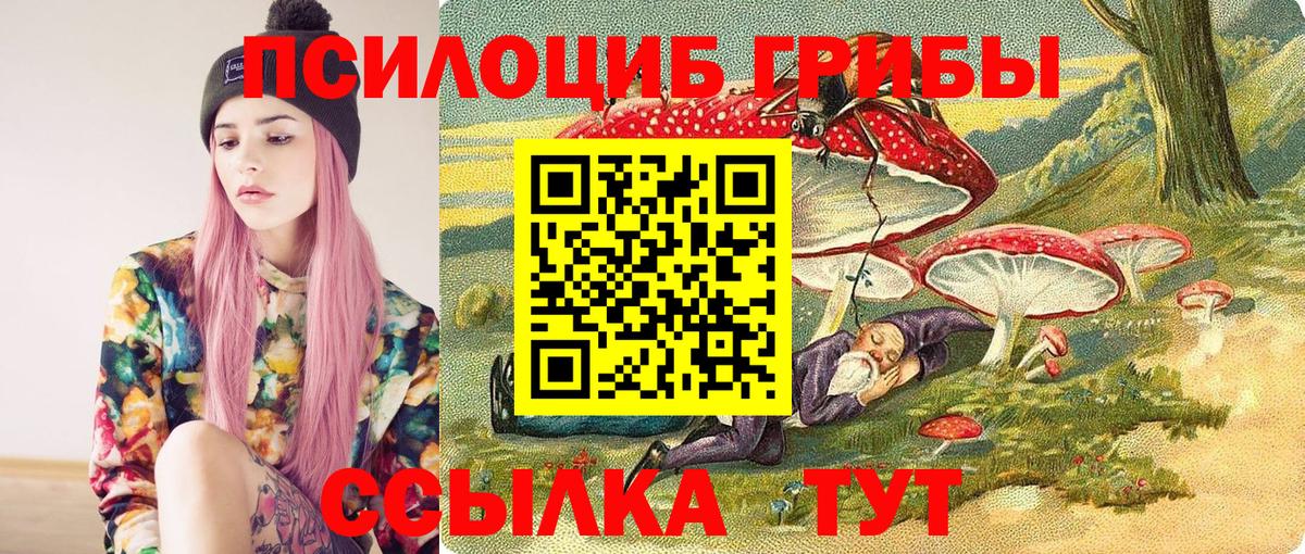 Псилоцибиновые грибы Magic Shrooms Чита