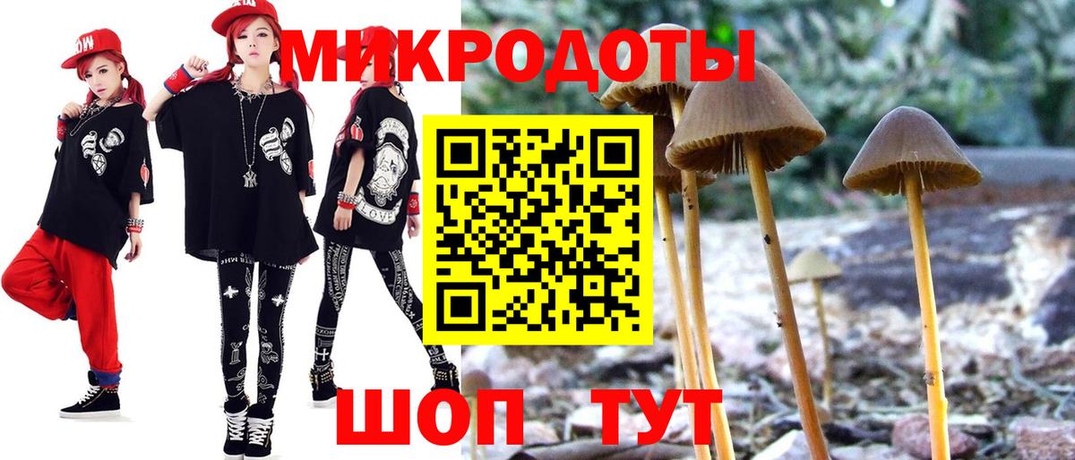 Псилоцибиновые грибы Cubensis  Вход с VPN  Чита 